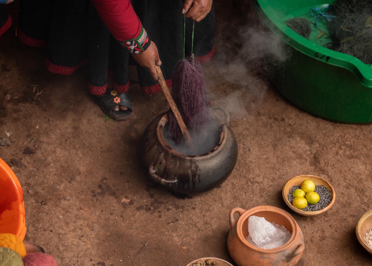 Artisan lifting hand-dyed wool from a steaming clay dye pot surrounded by natural plant dyeing ingredients, Chinchero, Peru
